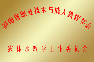 海南省职业技术与成人教育学会（农林水）